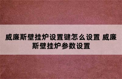 威廉斯壁挂炉设置键怎么设置 威廉斯壁挂炉参数设置